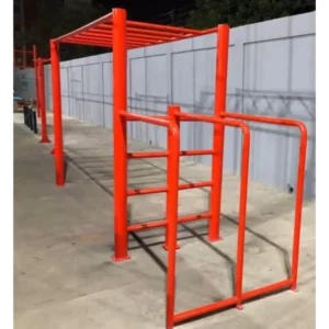 CALESTENIA COMPLETА 5 MODULOS