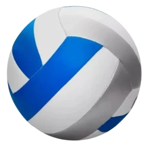 BALON DE VOLEIBOL #5